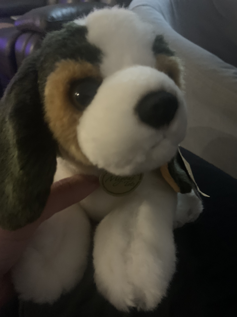 $10 Miyoni  tots beagle plush 7” - photo 2