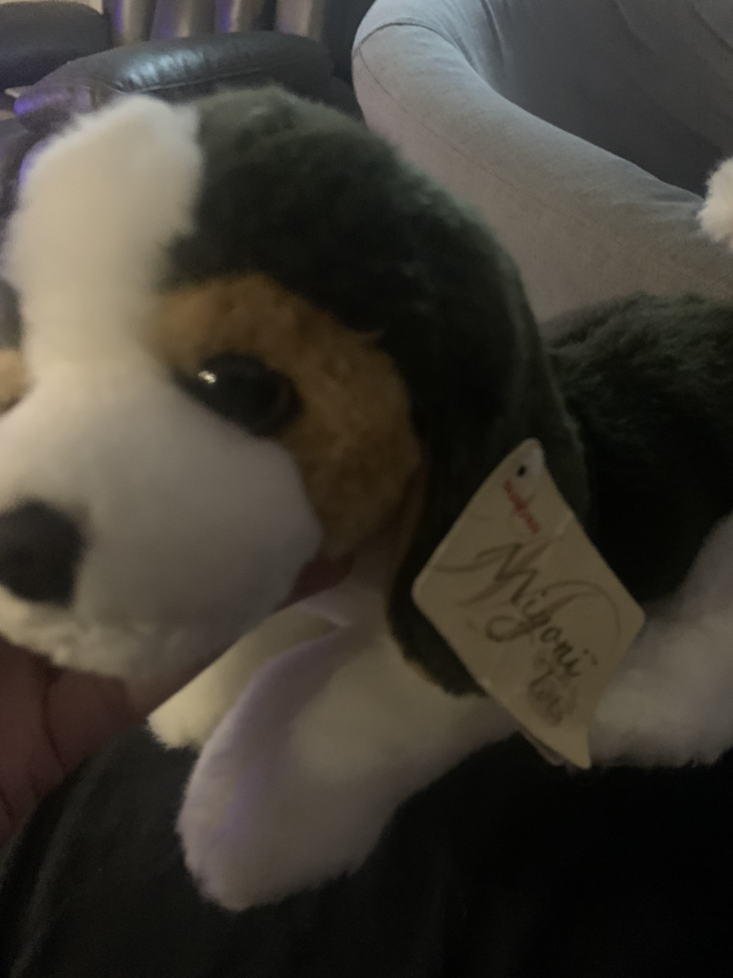 $10 Miyoni  tots beagle plush 7” - photo 4