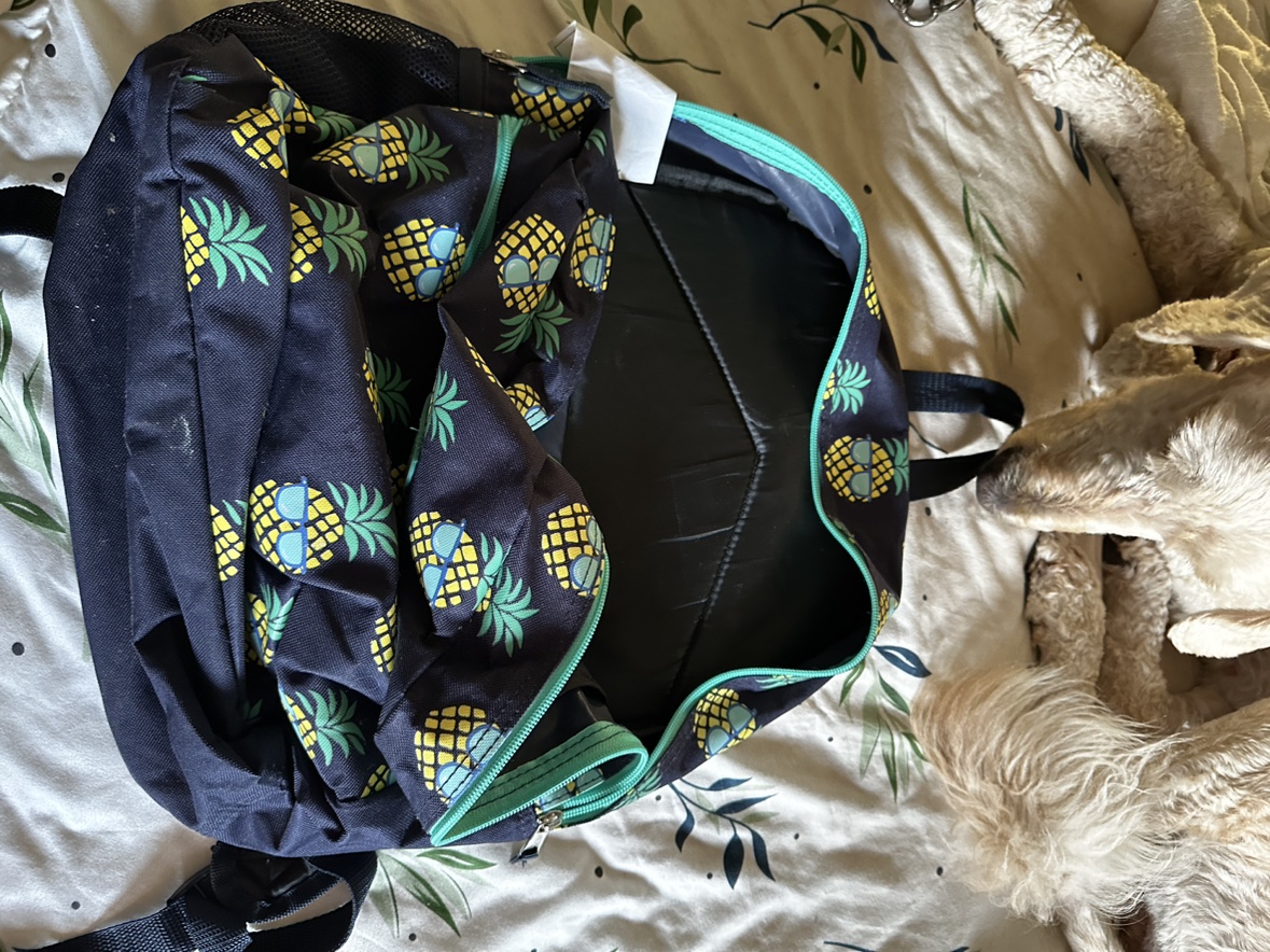 FREE back pack used only 1 semester - photo 3