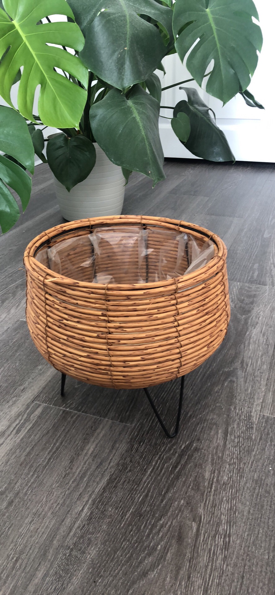 Plant stand