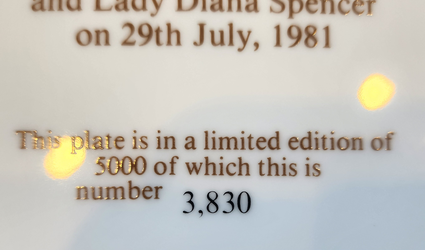 Prince Charles and Lady Diana Plate image indicator(4)