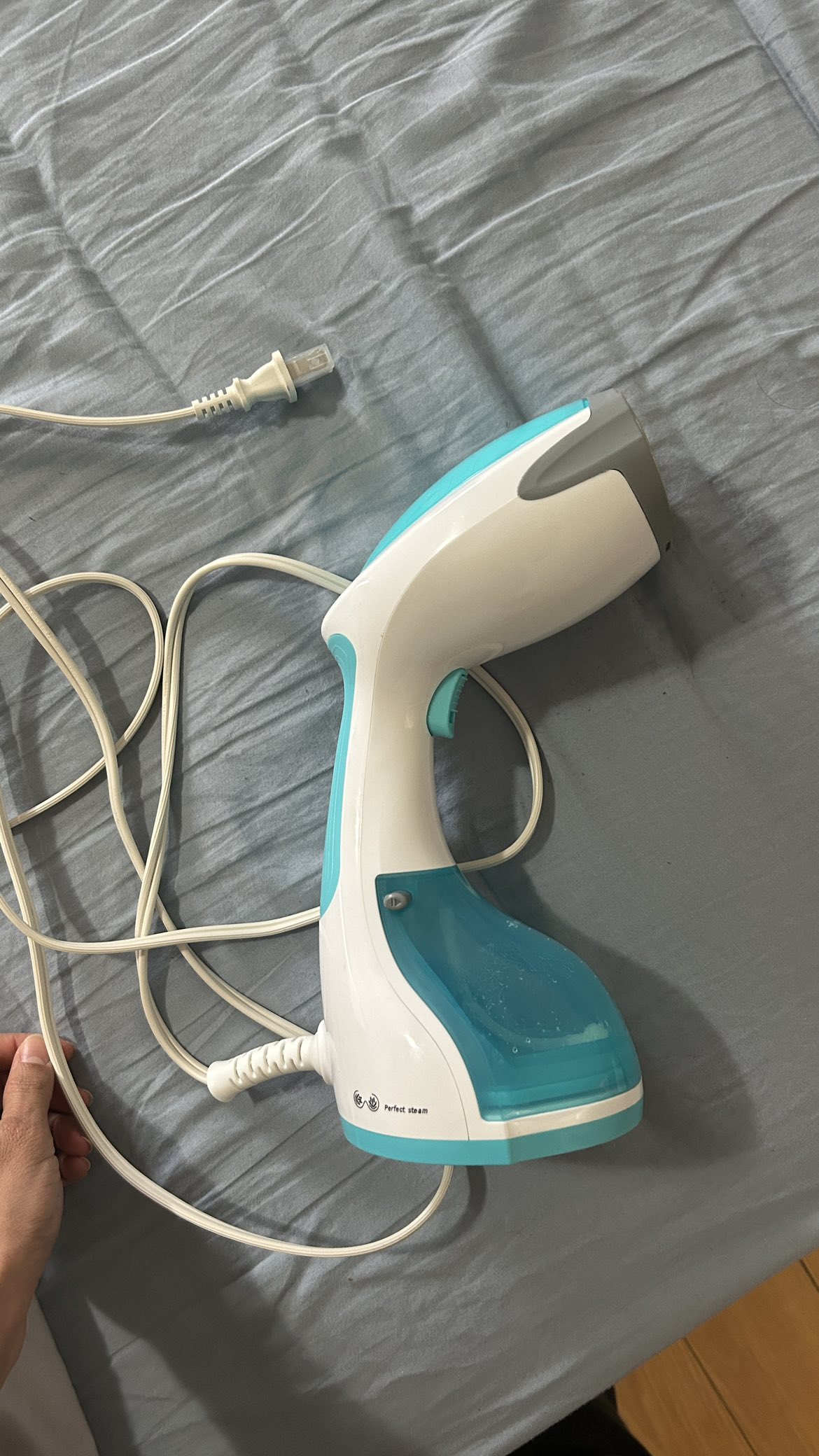 Handheld steam iron