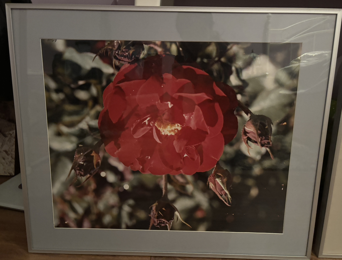 Flower picture framework thumbnail