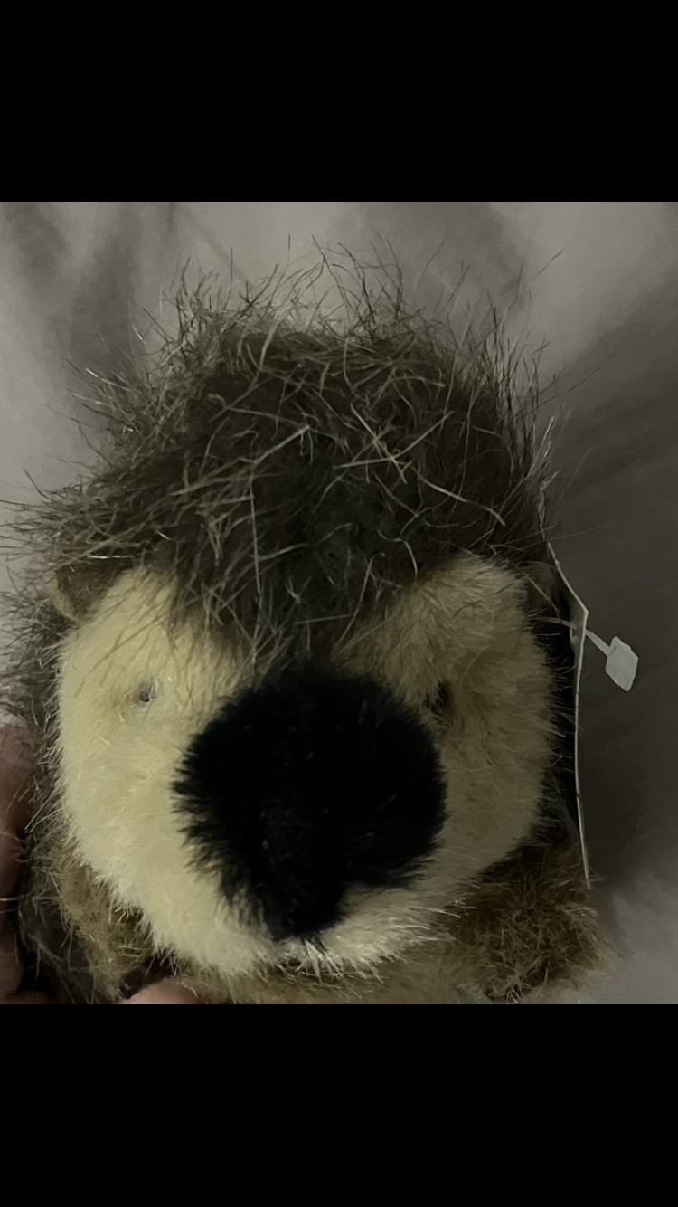 Looking To Trade Hedgehog Plushie🦔 image indicator(6)