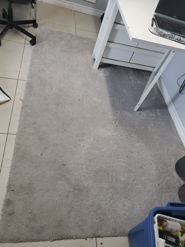 Carpet thumbnail