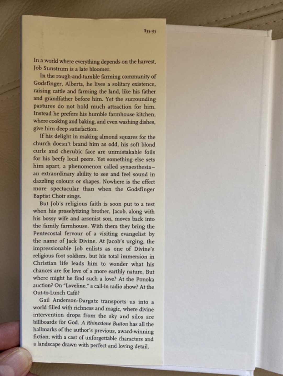 A Rhinestone Button by Gail Anderson-Dargatz-autographed image indicator(2)