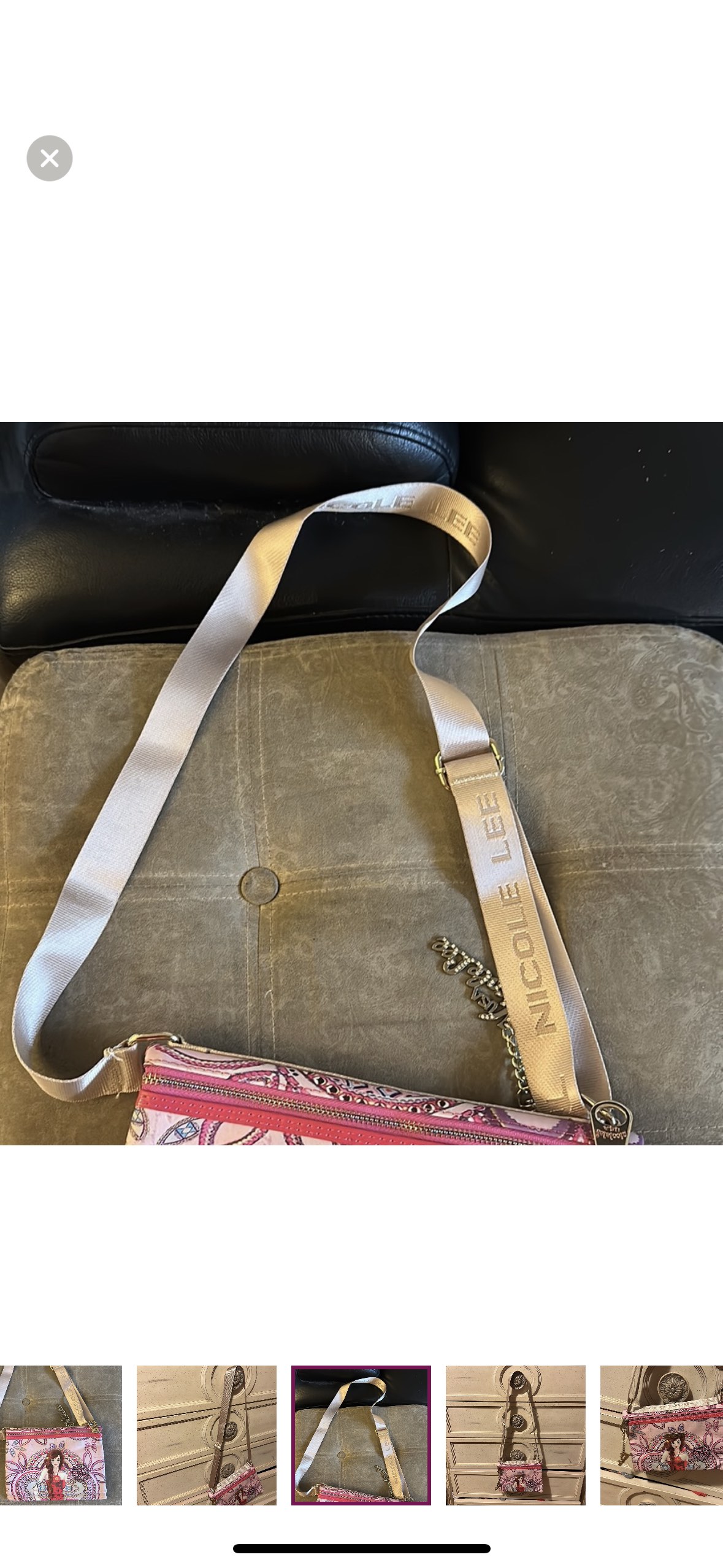 Nicole Lee Purse image indicator(5)