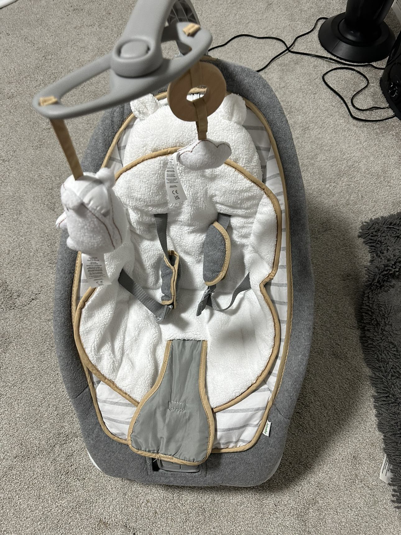 Baby Rocker - photo 2