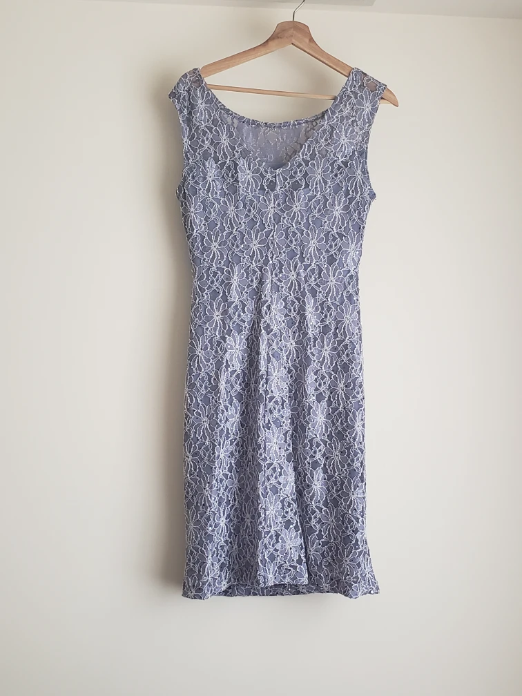 Embroidered Lace Cocktail Dress (lined) image indicator(2)