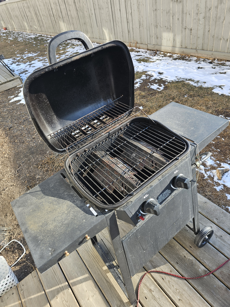 BBQ Grill - photo 2