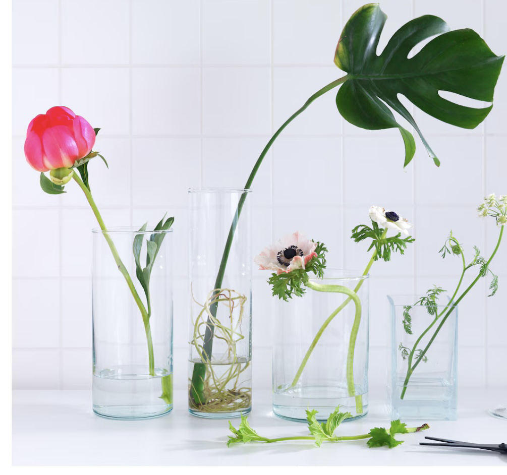 4 Cylinder glass vase $8 thumbnail