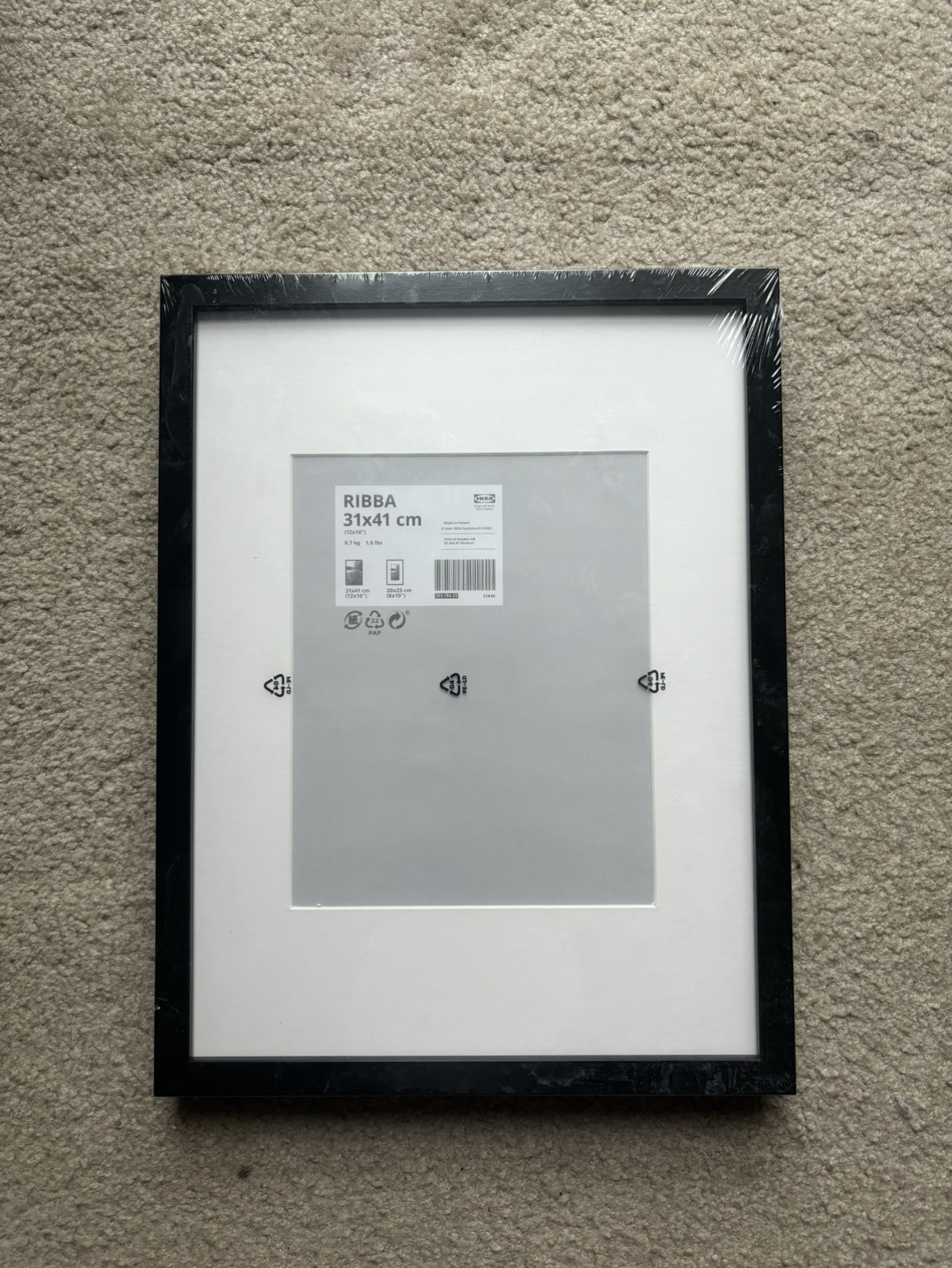 Brand New IKEA RIBBA Picture Frame