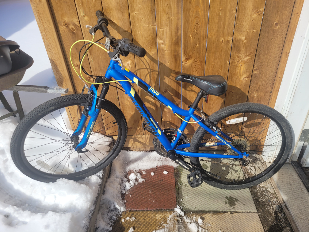 22" Youth Bike