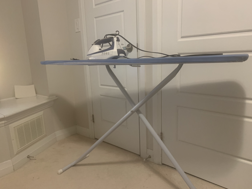 Steam iron with spray mist - photo 5
