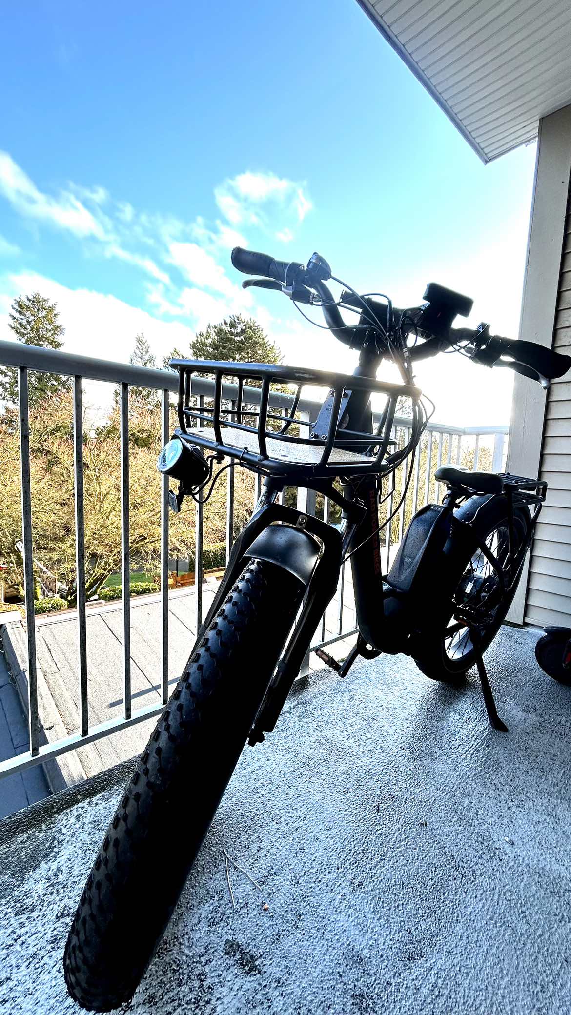 RadRover Step-Thru Electric Fat Bike Version 1 - photo 5