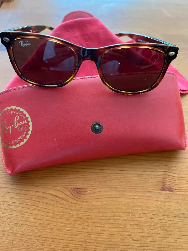 Youth Ray Ban Wayfarer Sunglasses