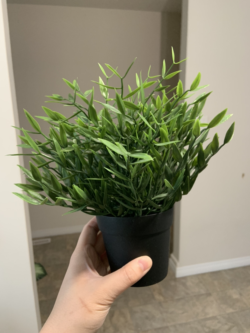 Fake Plants & Decor Bundle - photo 5