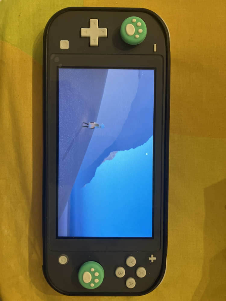 Nintendo switch lite + case + custom grips - photo 2