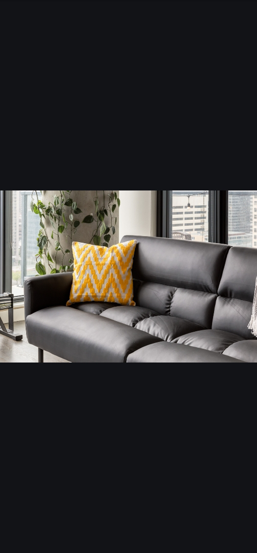 Leather sofa couch