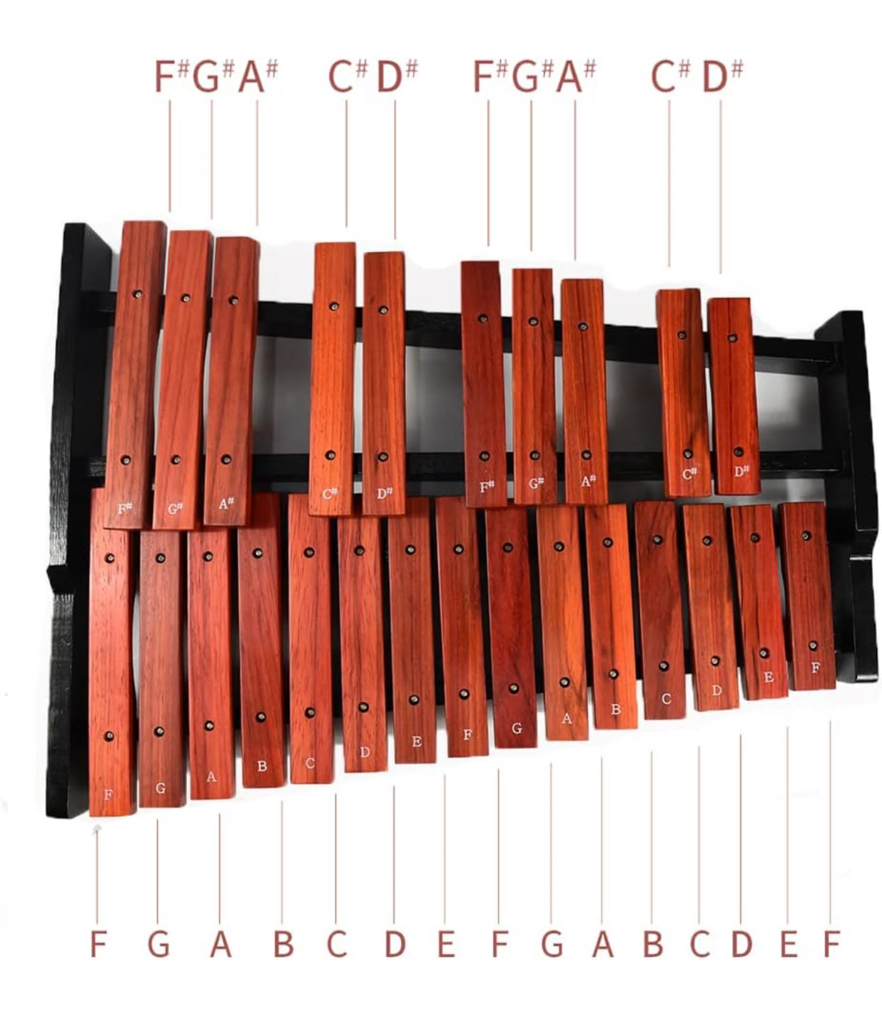 25 Note Xylophone-Wooden Xylophone-With Xylophone Stand thumbnail