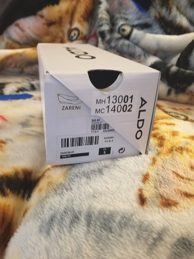 NEW Aldo Zareni-97 flat smooth leather women's shoes Size 6 image indicator(2)