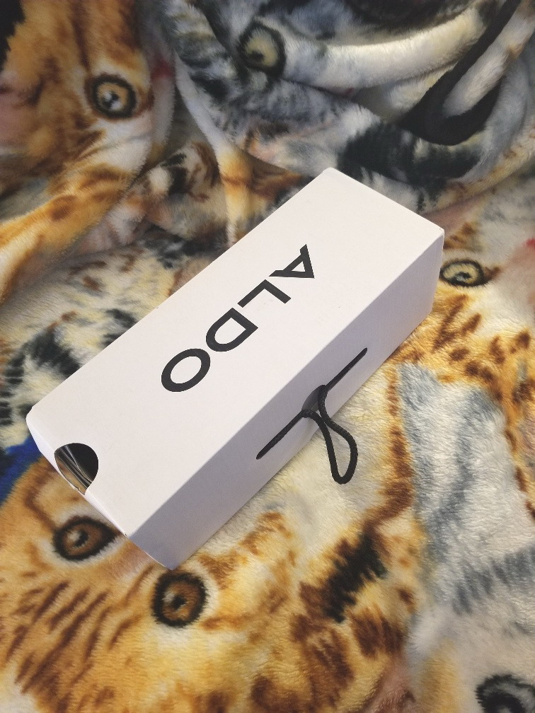 NEW Aldo Zareni-97 flat smooth leather women's shoes Size 6 image indicator(3)