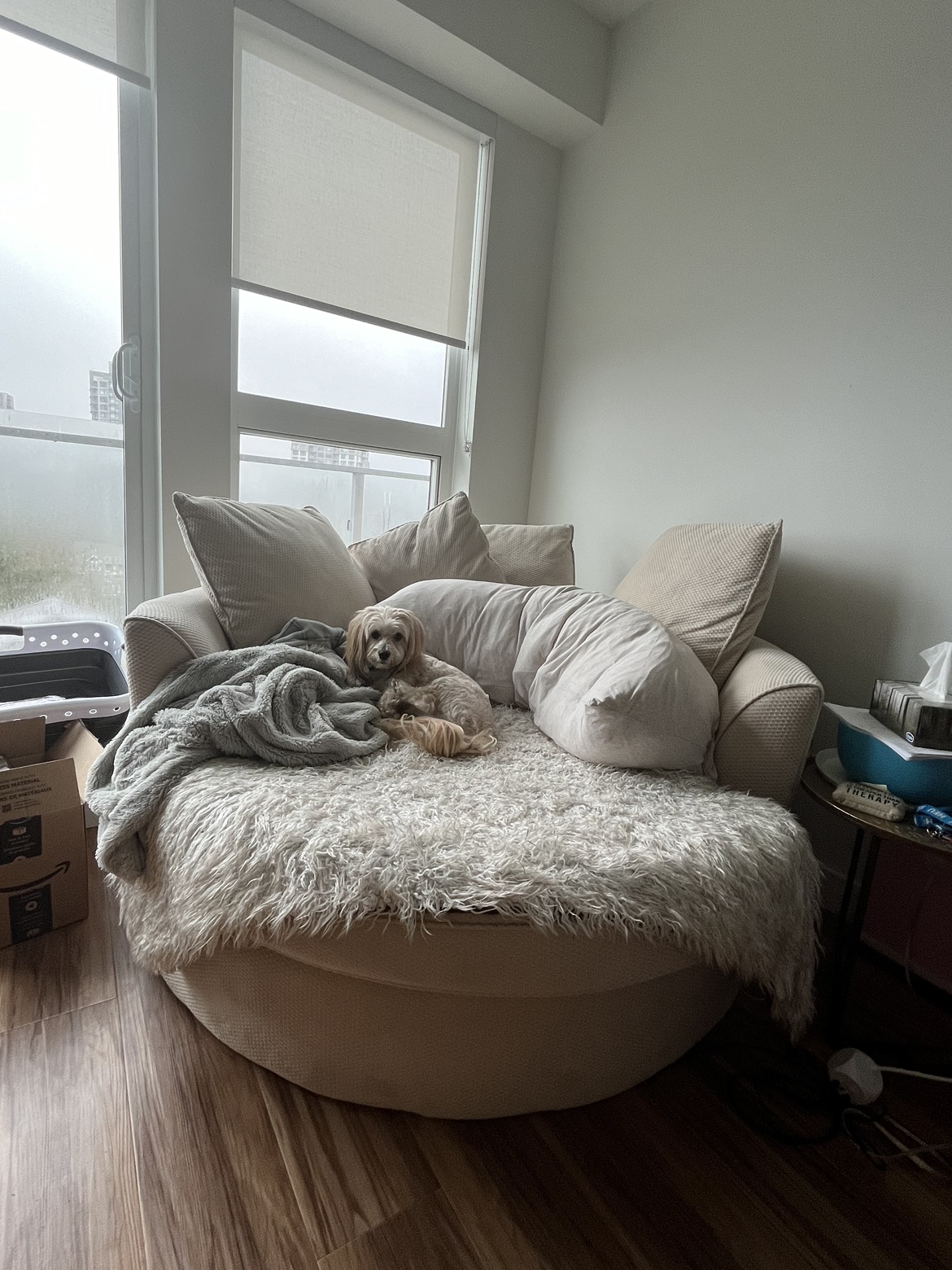 Cuddler Sofa thumbnail