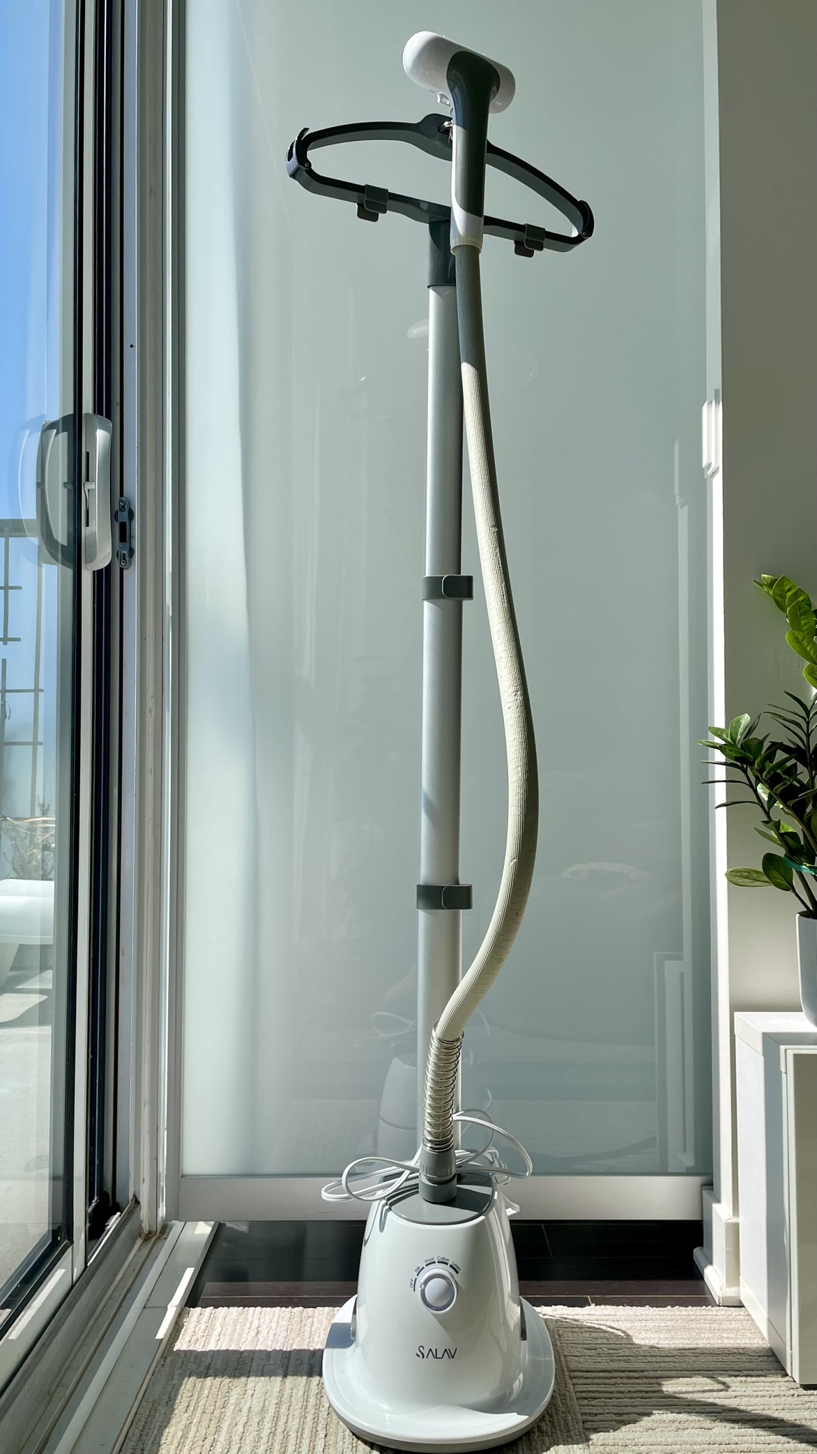 Garment steamer - cleaned and works well