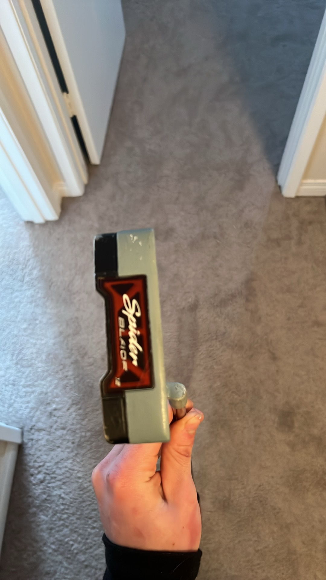 Spider taylormade putter