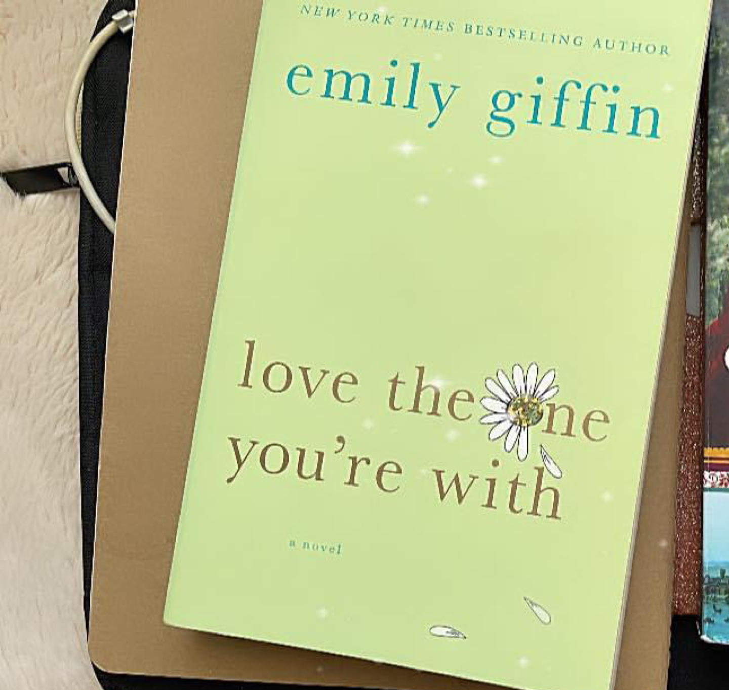 Love the one you’re with book bu Emily Griffin thumbnail