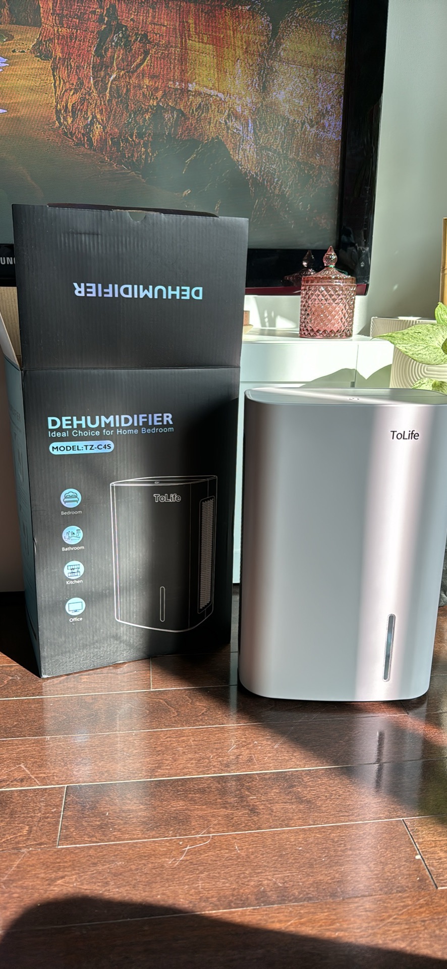 Dehumidifier