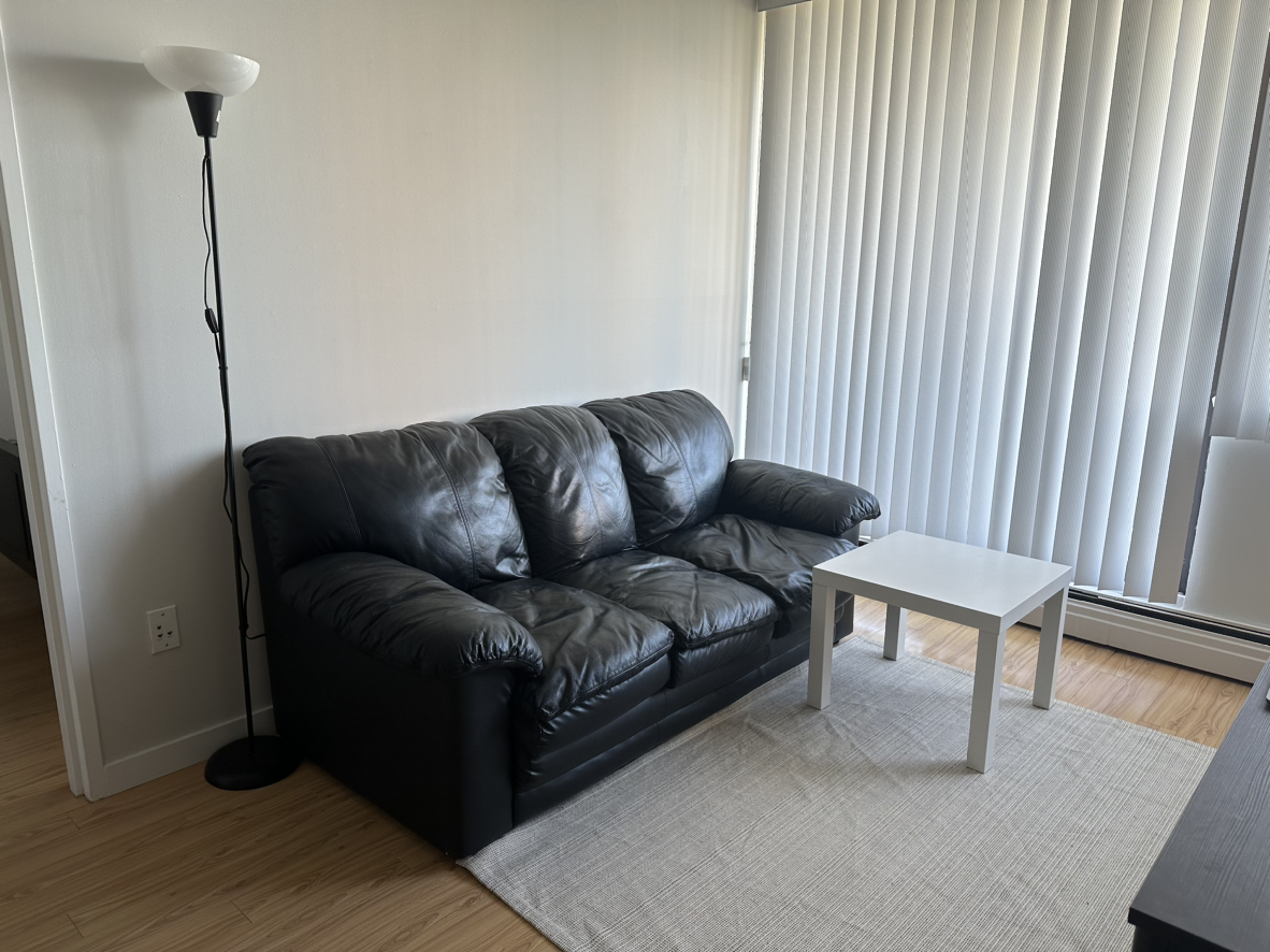 Leather sofa thumbnail