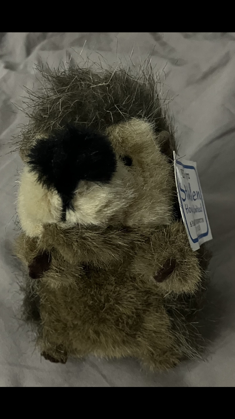 Looking To Trade Hedgehog Plushie🦔 image indicator(3)