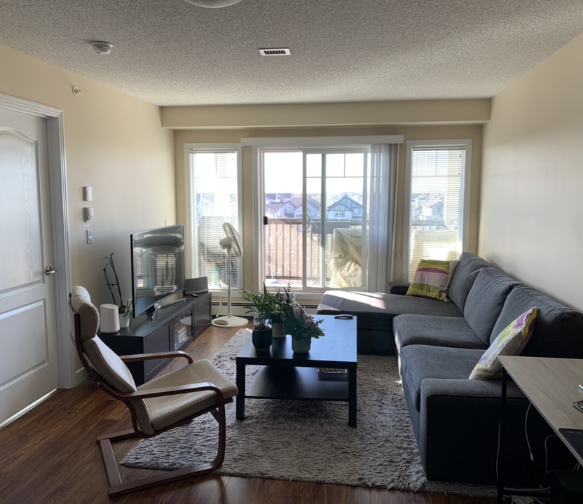 Full Living room furniture + TV