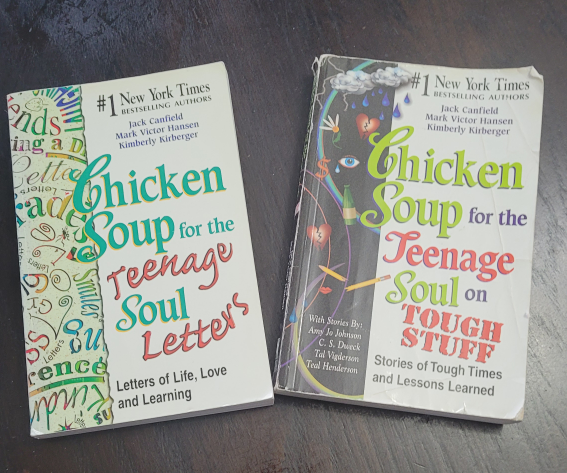 #freecycle chicken soup book for teenaagers