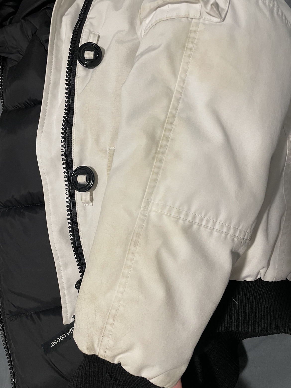 Authentic Canada Goose Chilliwack Bomber Size XS image indicator(5)