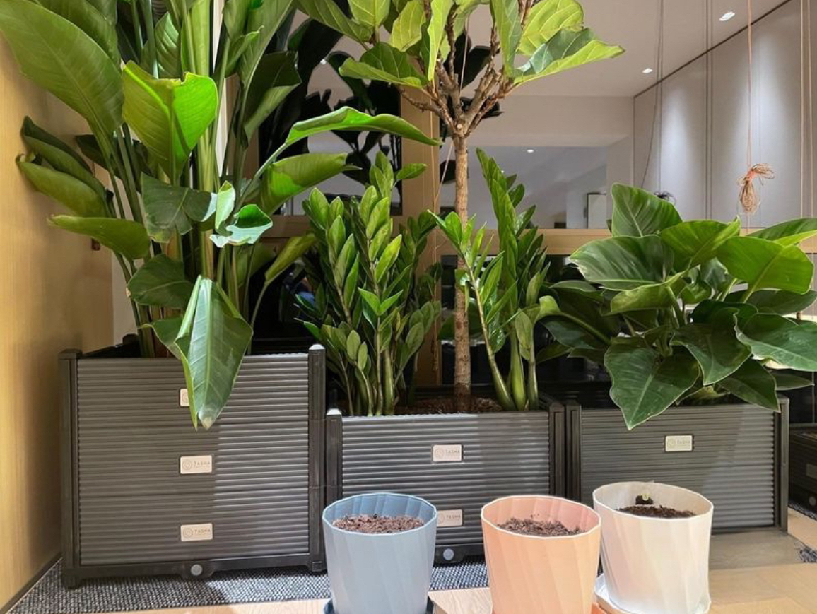 Garden/Indoor Large Stackable Plant Box, Flower Box image indicator(3)