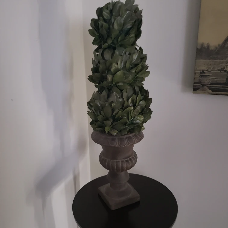 Decorative Topiary Tree image indicator(3)