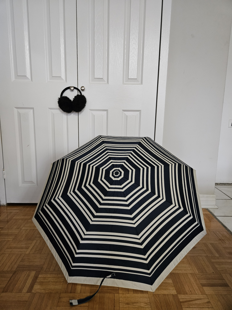 $ MOVING SALE $ Umbrella + Earmuffs thumbnail