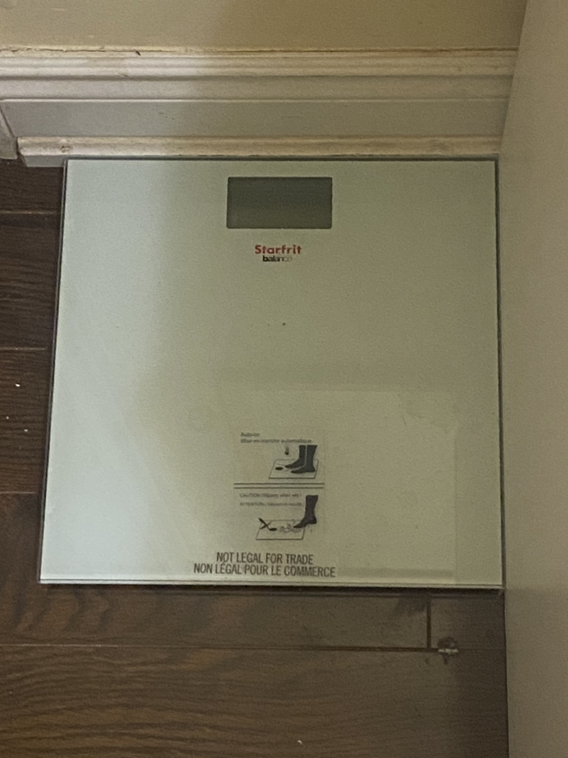 Bathroom scale