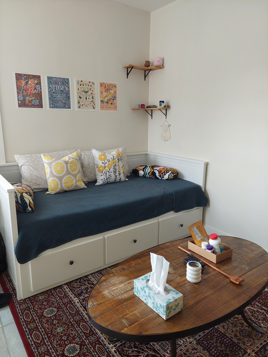 IKEA HEMNES Bed