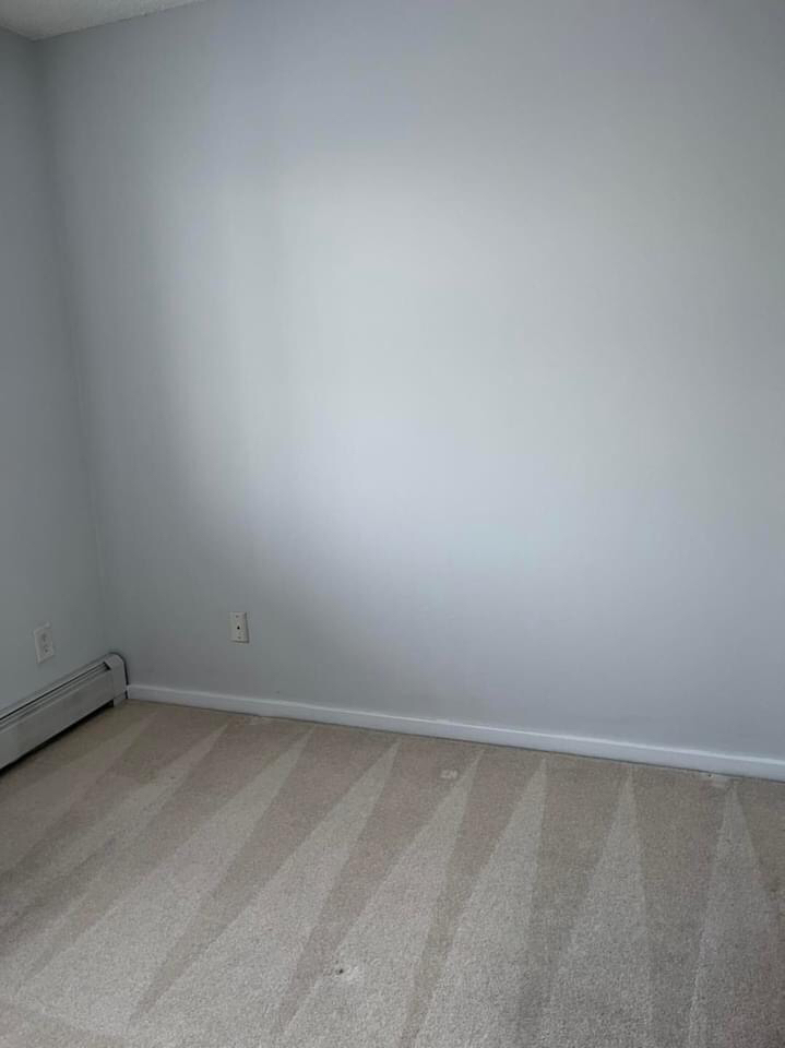 Carpet Steam Cleaning - photo 2