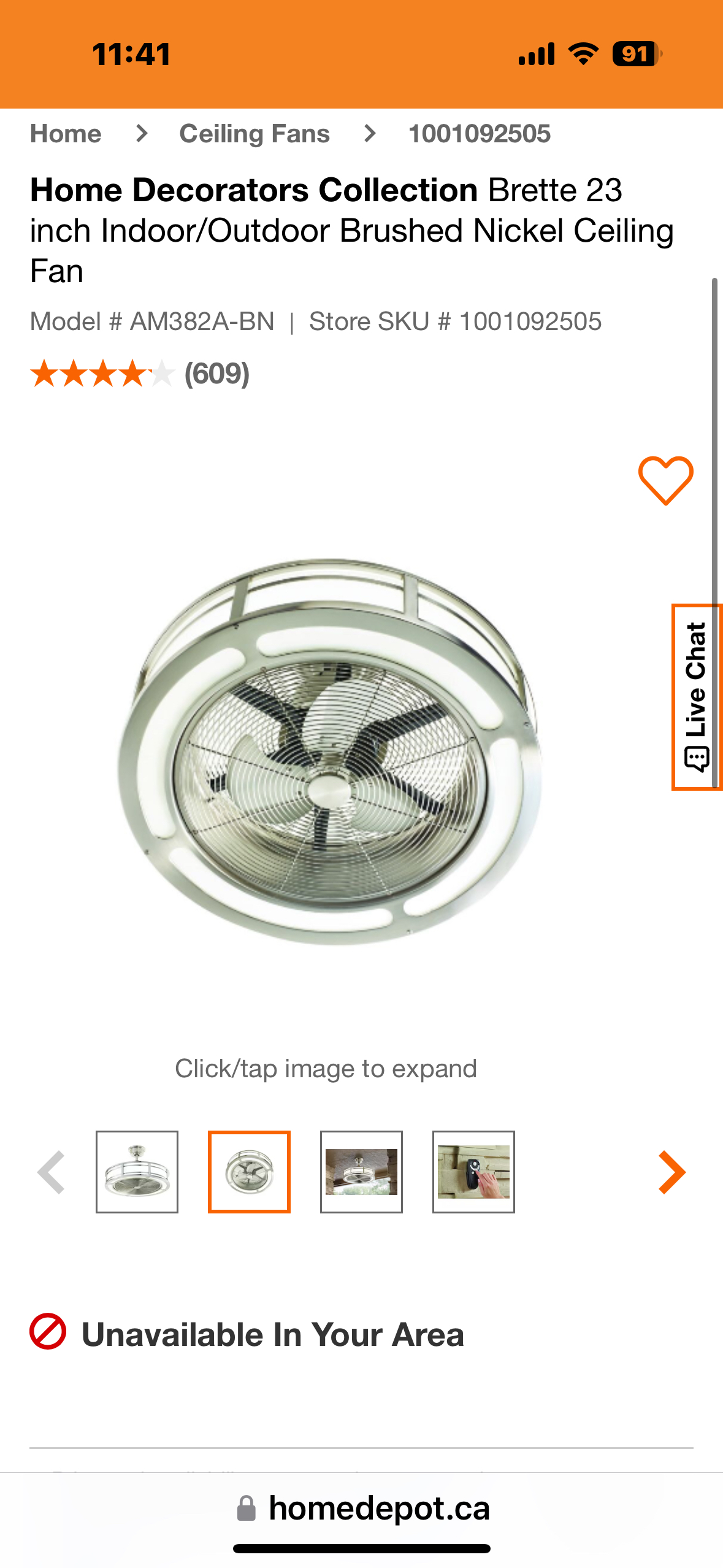 Indoor/Outdoor Fan Light - photo 2