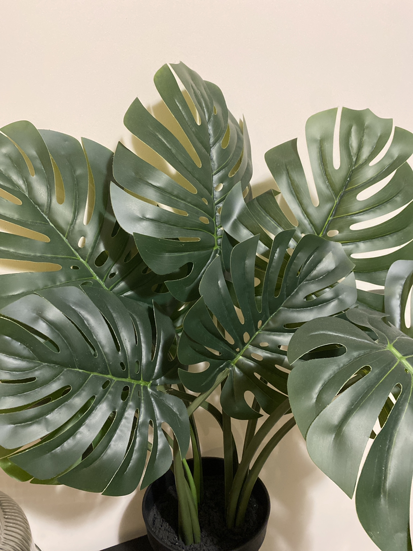 Plant decoration - photo 2