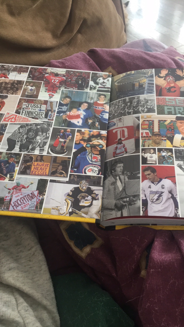 Stephen Cole  The Hockey Fan's Ultimate Hockey Book image indicator(10)