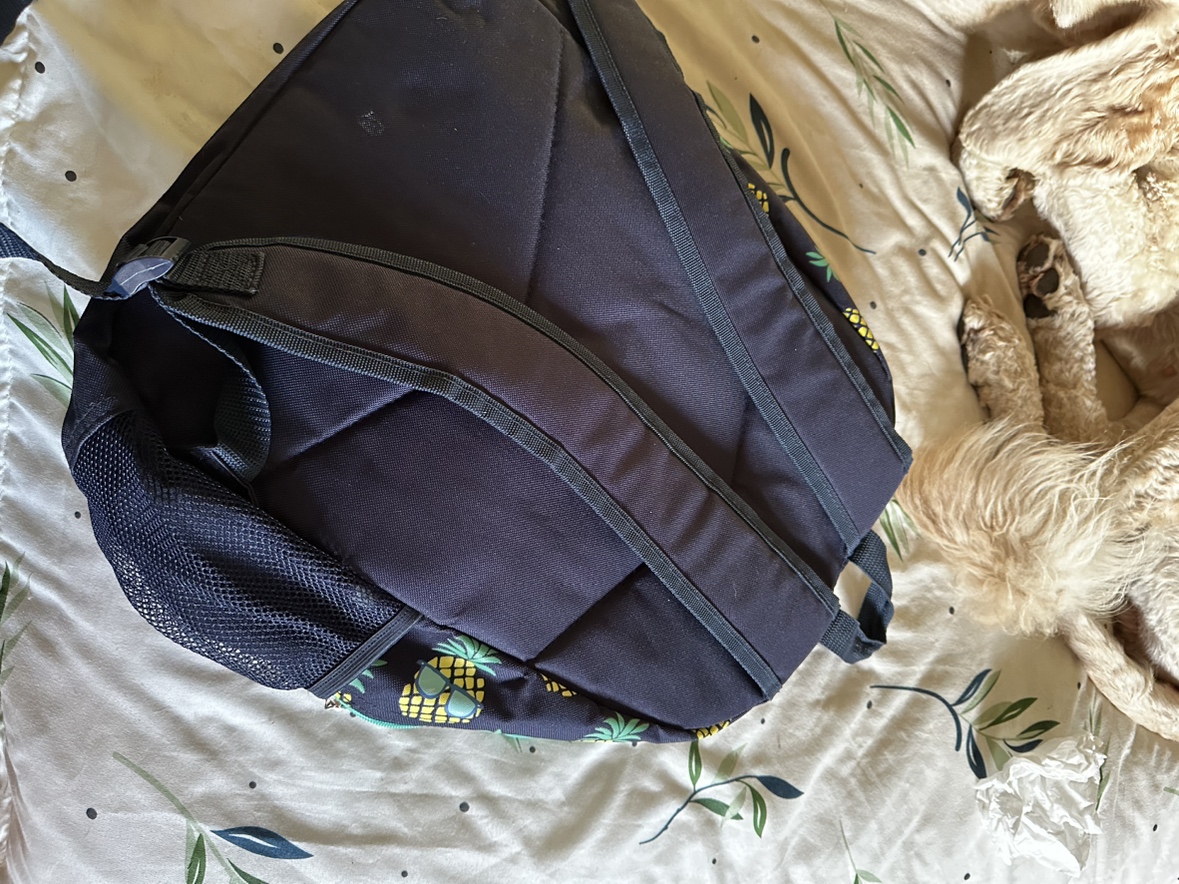 FREE back pack used only 1 semester - photo 2