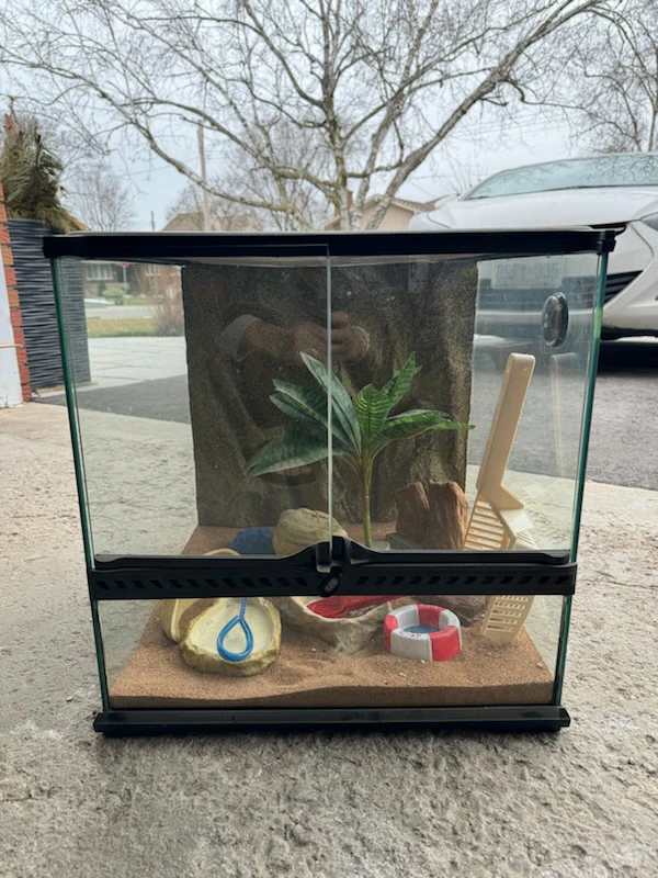 Reptile Terrarium