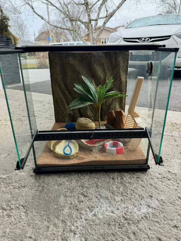 Reptile Terrarium - photo 2