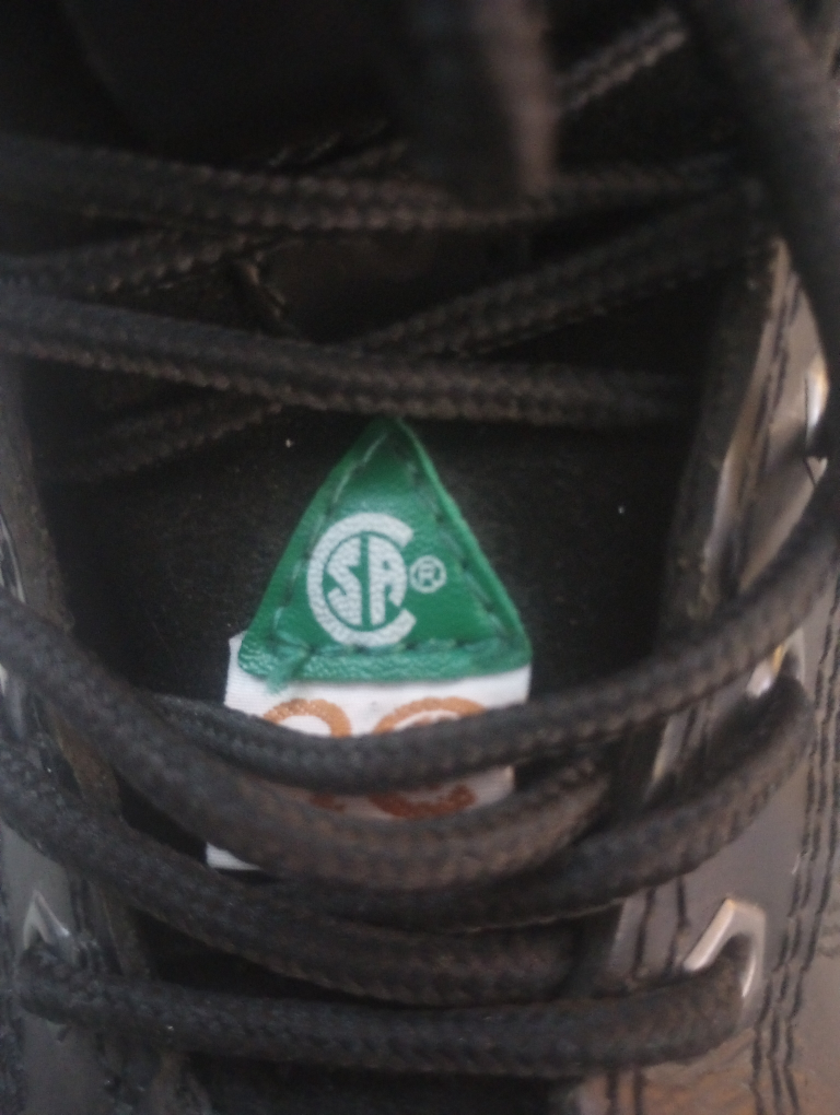*BRAND NEW* Terra Safety Boots CSA APPROVED - photo 2