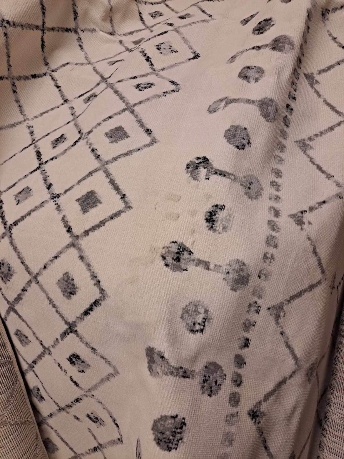 Area Rug #418 image indicator(4)